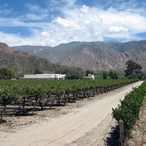 Foto bodega Cafayate