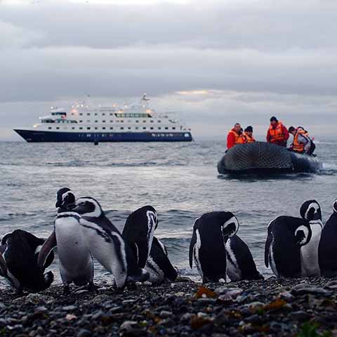 Cruise met Australis