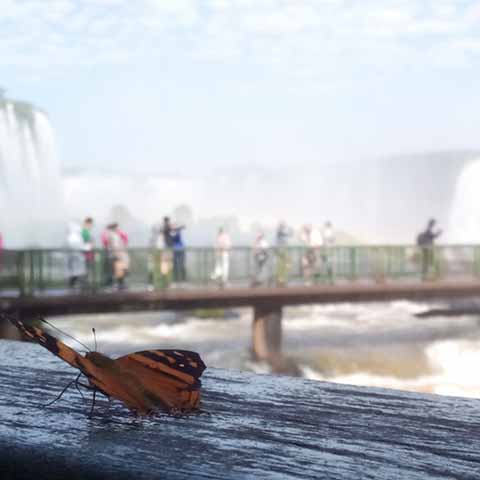 Foto watervallen Iguazú