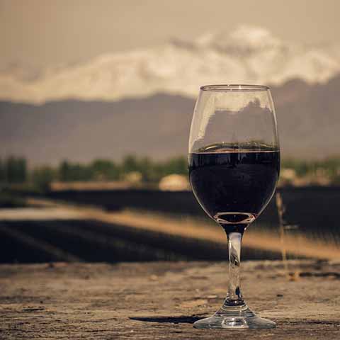 Foto glas Malbec wijn bij Mendoza
