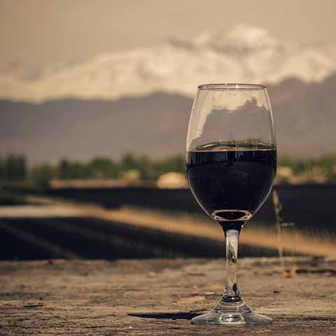 De bekendste druivensoort in Argentinië is de Malbec