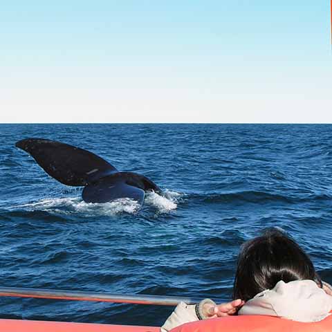 Rondreis Patagonië en Vuurland