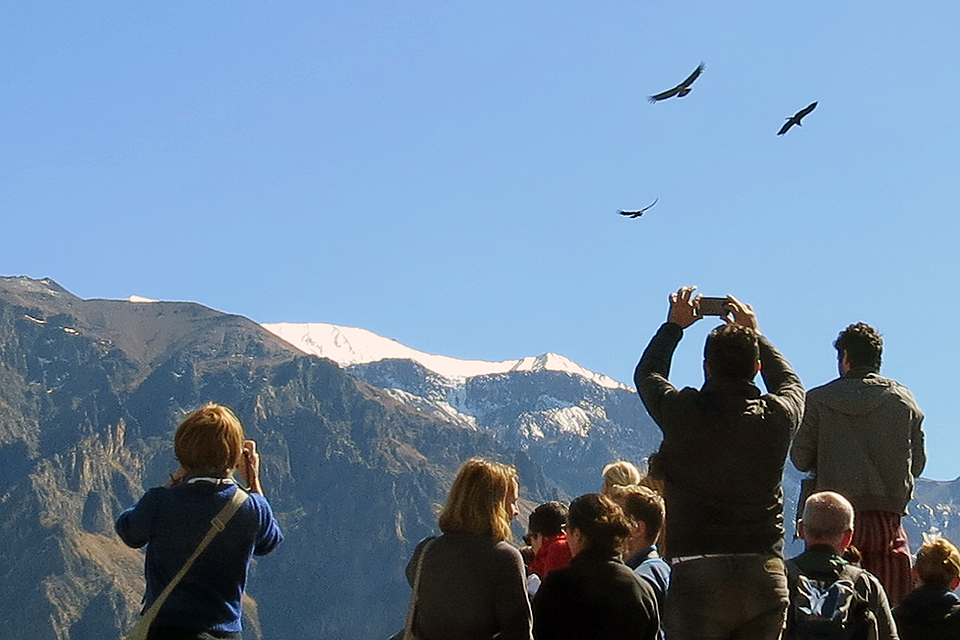 Foto individuele reis Peru, Cruz del Condor